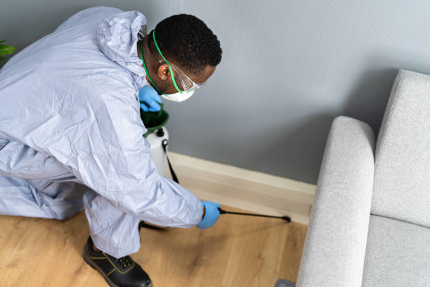 Best Residential Pest Control  in Lmer Heights, PA